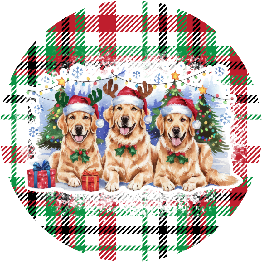 Dogs