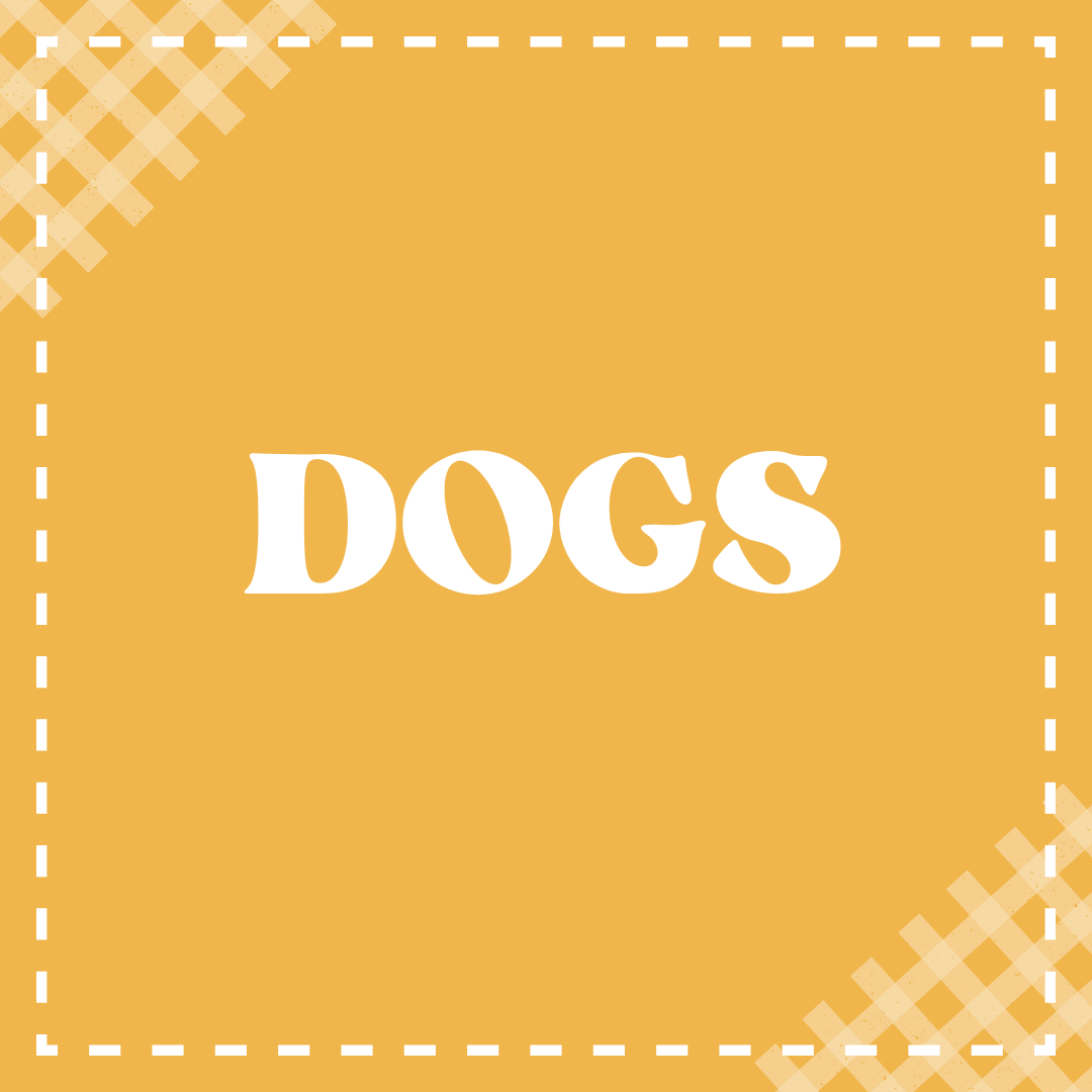 Dogs