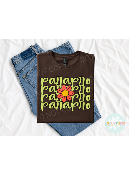 Paraprofessional Designs: 21 Options