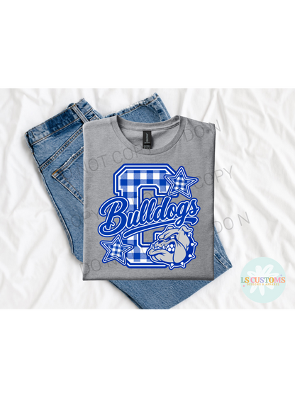 School Spirit Gingham (no apparel)