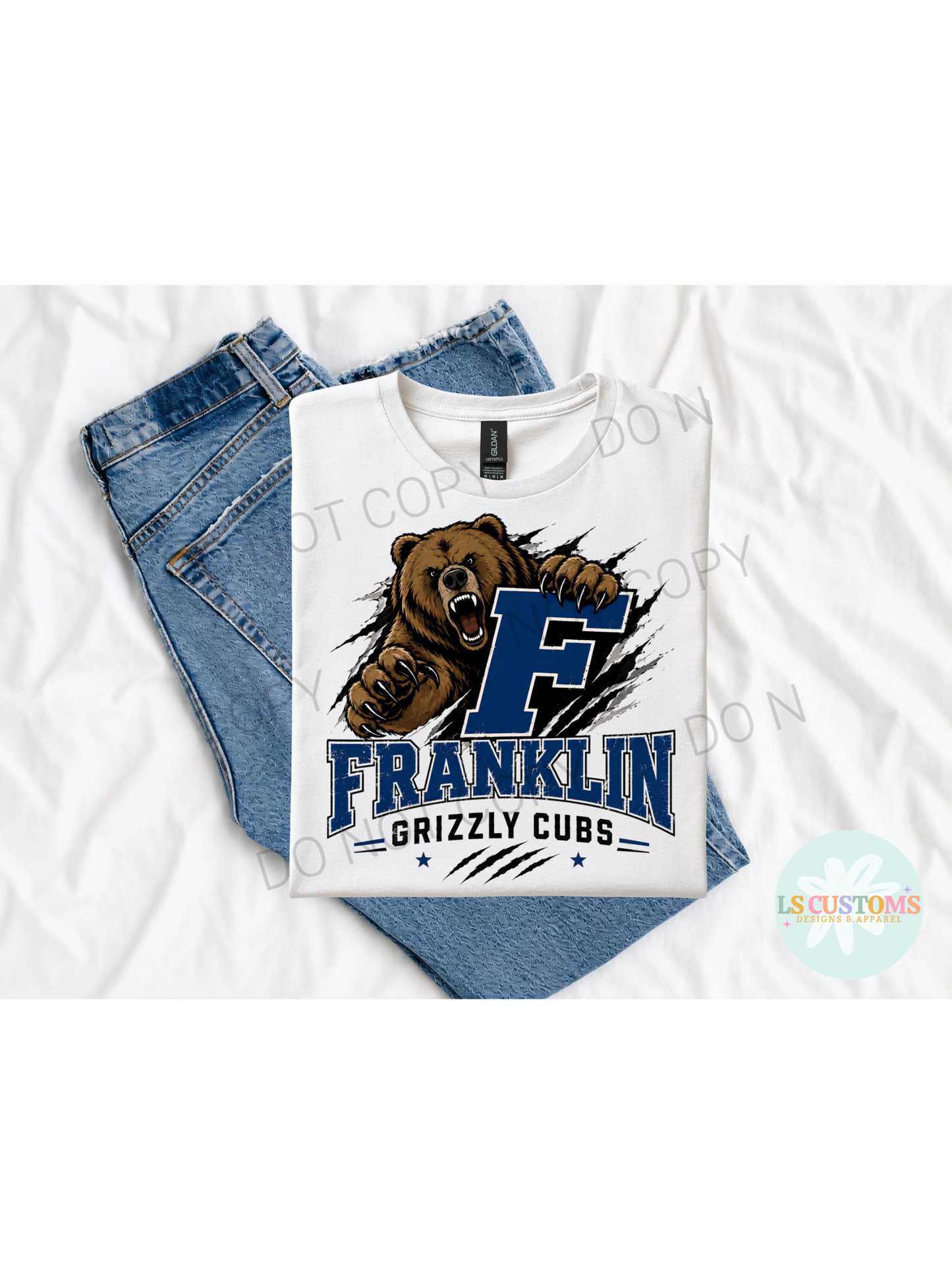 Franklin Community: 5 Options
